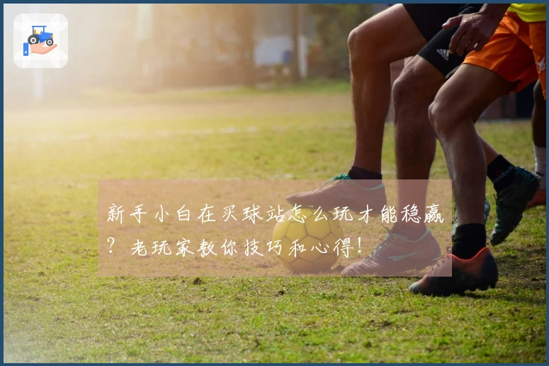 新手小白在买球站怎么玩才能稳赢？老玩家教你技巧和心得！