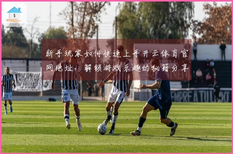 新手玩家如何快速上手开云体育官网地址，解锁游戏乐趣的秘籍分享